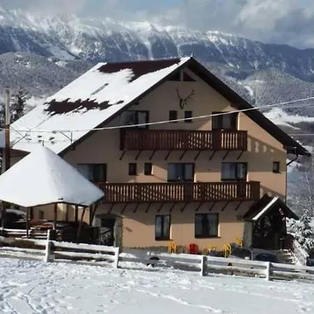 Pensiunea Edera-3
